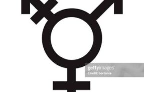 VIDEOS TRANS NOVOS GRATIS