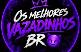 OS MELHORES VAZADINHOS BR😈