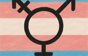 TRANS GRUPO FREE