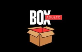 Box Adulto
